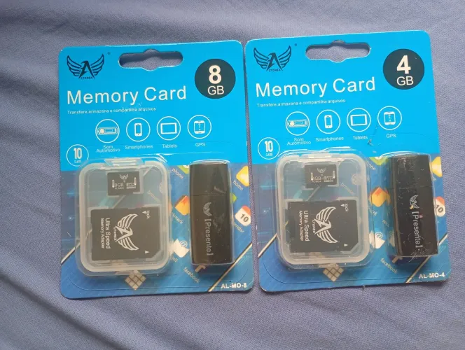 Dois cartões de memória de 4Gb e 8Gb