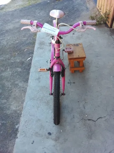Bicicleta feminina aro 20