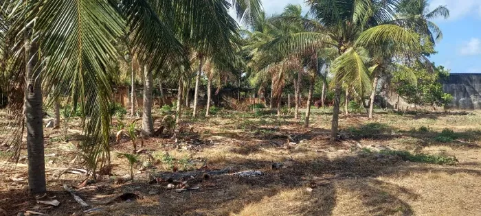 Atenção Investidores, área perfeita na Baia da Traição, 300m da prainha, 24.000m2. 