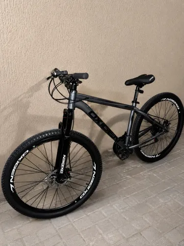 BIKE OXIGEN | ARO 29