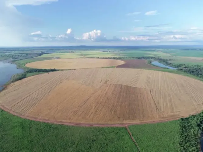 Fazenda extra a venda no Goiás!!!