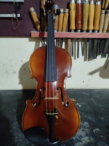 Violino