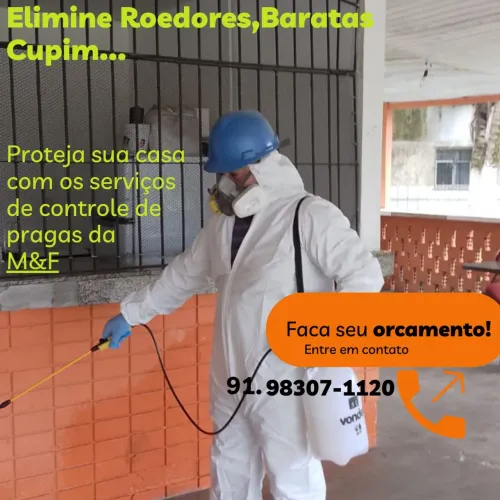 Controle de Pragas (Desinsetização)