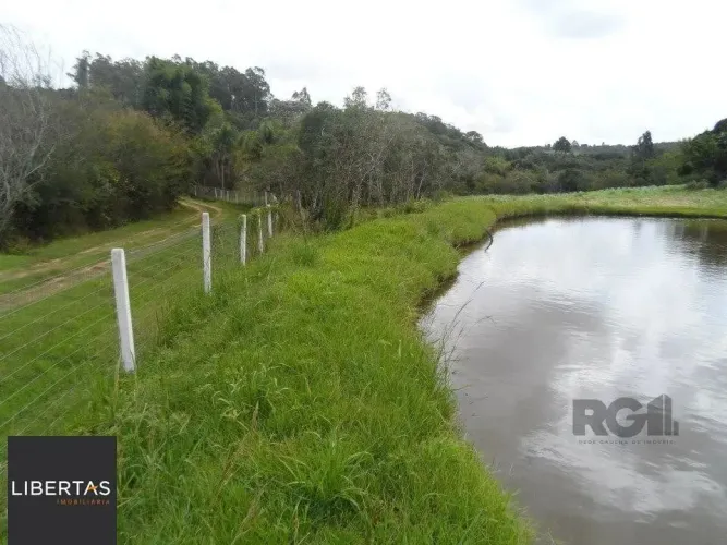 Sítio em Canta Galo