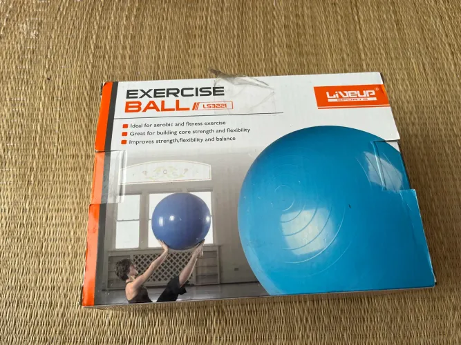 Bola de Pilates 65 cm 