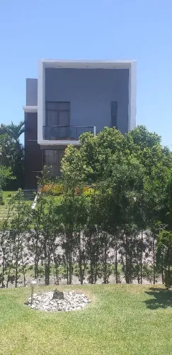 (Pinturas de fino acabamento)