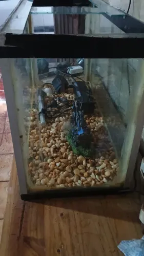 Vendo aquário 100 litros completo
