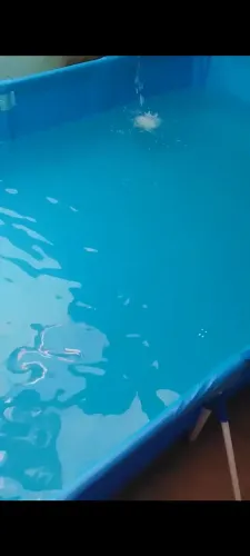 Piscina para toda Família 3000L