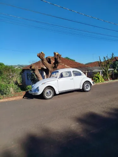 Volkswagen Fusca (álcool) 1981