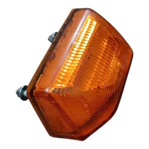 Luz Seta Dianteira Vw Delivery Express 11180 24v Original