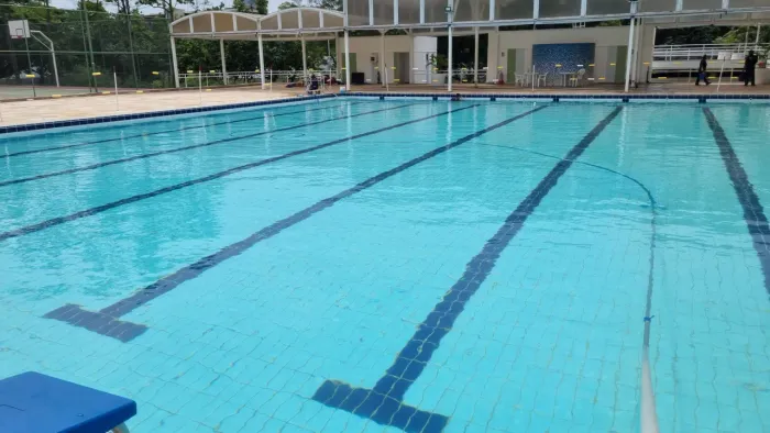 Limpador piscineiro