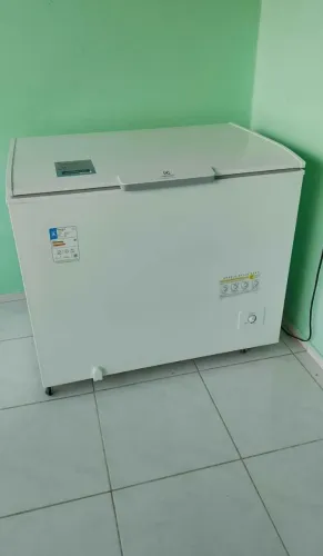 Freezer 319 LT