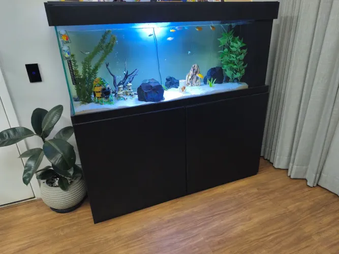 Aquário Completo 268 Litros + Móvel + Sump Lateral - Pronto para Uso