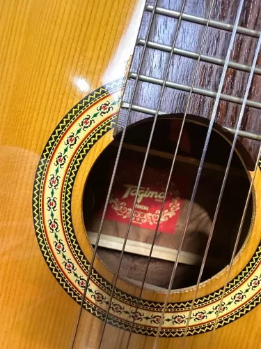 Violão Tagima Ipanema - Nylon