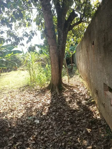 Terreno 12x30 (360m²) - Documentação OK - Pronto para Construir