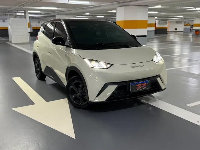 BYD Dolphin Mini (Elétrico) 2024