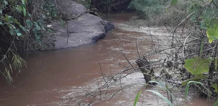 Chácara Completa - Região Fazenda Rio do Peixe/Boca da Mata/Mangueira-Goianira/GO