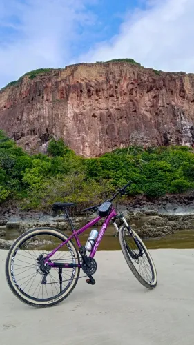 Bicicleta aro 29