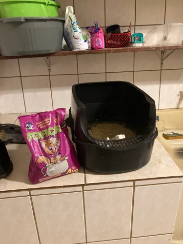 Caixa de areia para gato