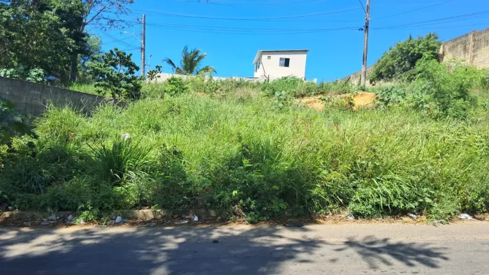 Terreno escriturado 240m2