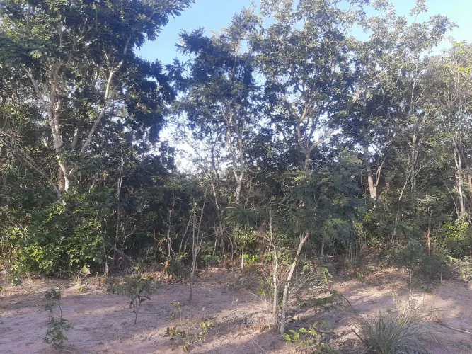 500 há com muita água em MG