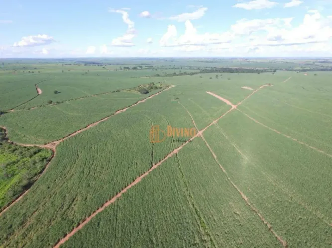 Fazenda à venda, 263 Alqueires por R$ 51.000.000 - Zona Rural - Mirandópolis/SP