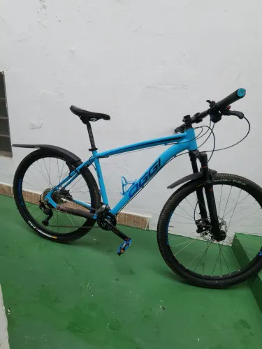 Mountain bike aro 29