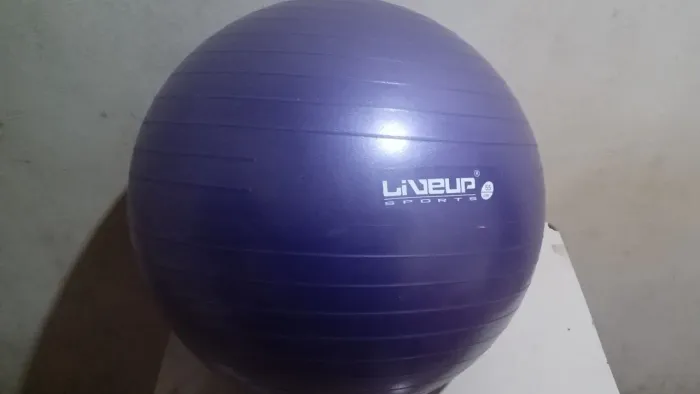 Bola Suíça P/ Pilates e Exercícios Roxa