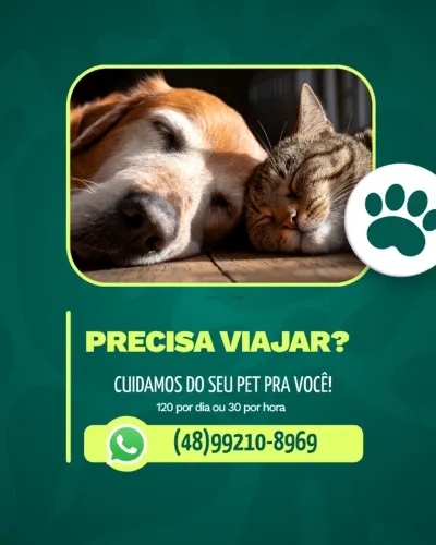Cuido seu pet
