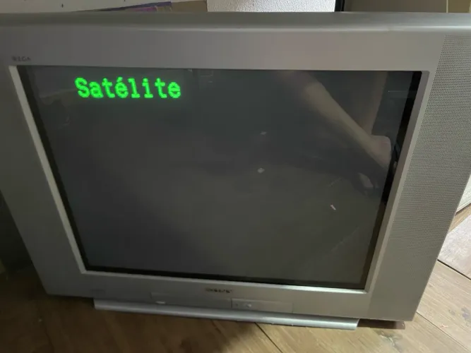 TV 29 Sony Retrô gamer zerada