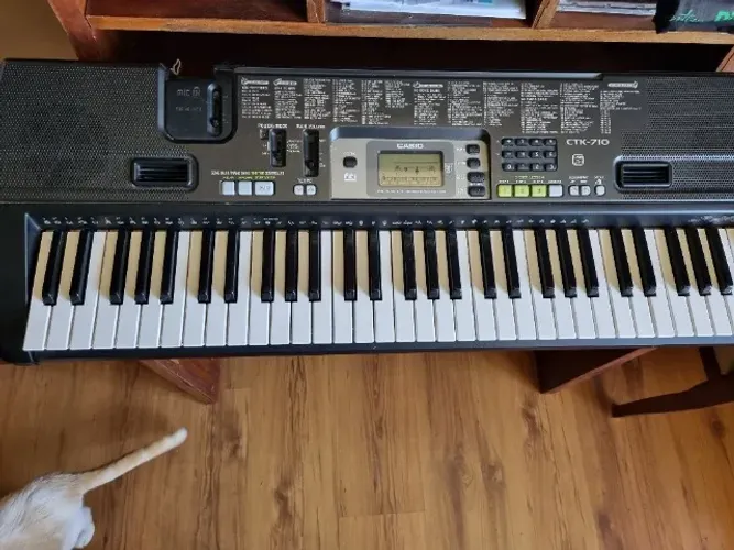 Teclado casio CTK 710