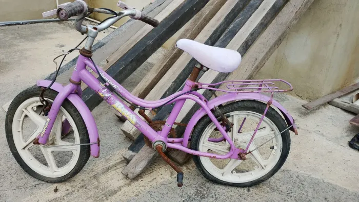 Bicicleta feminina