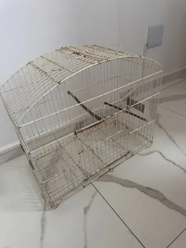 Gaiola média 