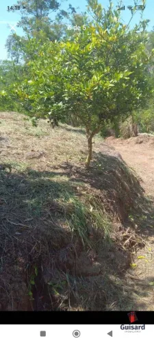 Terreno 1.780m² Natividade da Serra