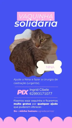 Gata
