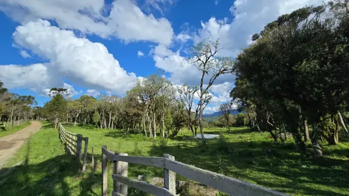 Terreno com 100.000m² para Moradia ou Investimento