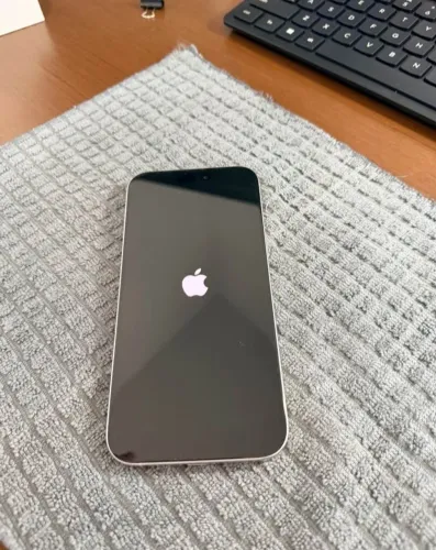 IPHONE 16 PRO MAX 256 GB