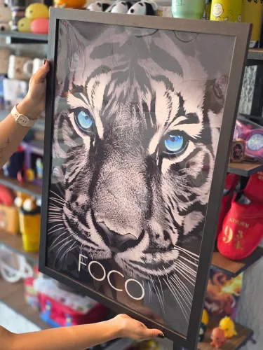 Quadro Moldura e Acetato loja Fanático