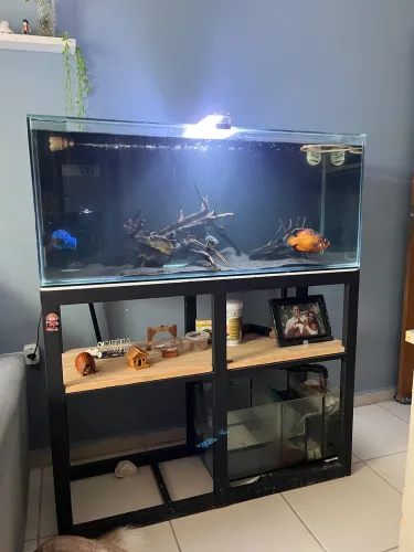 Aquário 240 litros + base metálica 