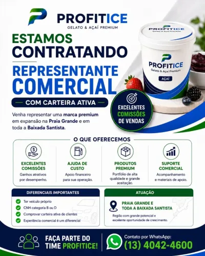 REPRESENTANTE COMERCIAL COM CARTEIRA ATIVA