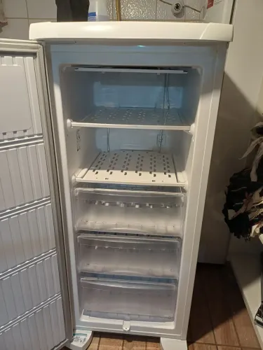Freezer Electrolux - FE19