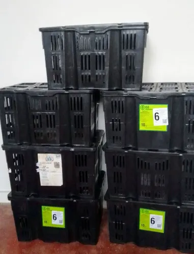 Vendo varias caixas organizadoras_ otimo preço