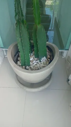 Arranjo Cacto em vaso "VASART"
