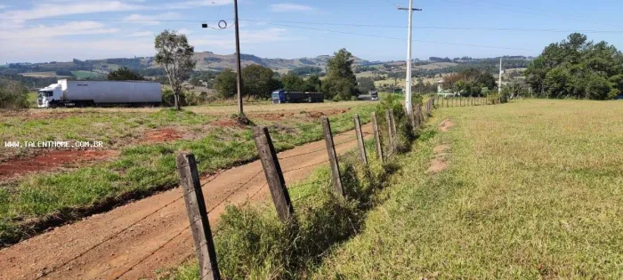 Área Rural para Venda em Siqueira Campos
