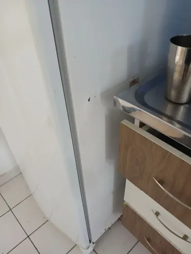 Essa geladeira o que tem pra fazer uma pintura na parte de cima e uns retoques do lado 