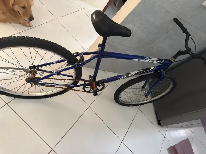Bike SAMY