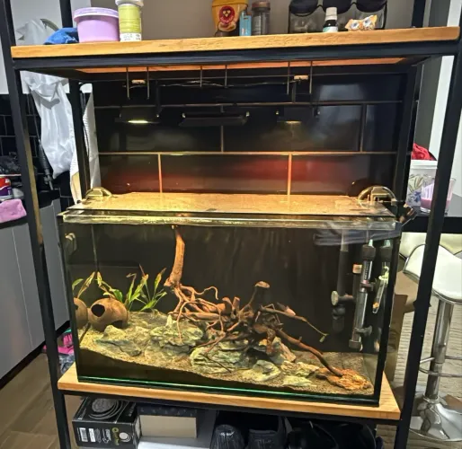 Vendo aquário com 70 litros completo