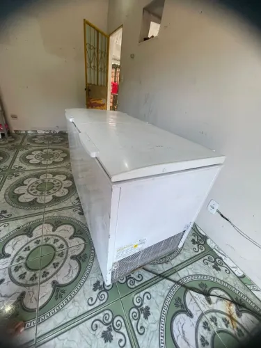 ? FREEZER ELETROLUX 2 PORTAS 2020 ?