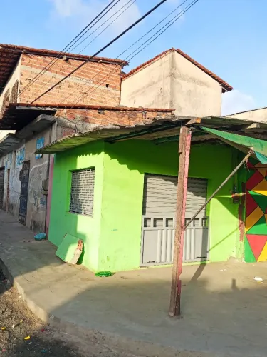 bosque na feira do João Paulo 