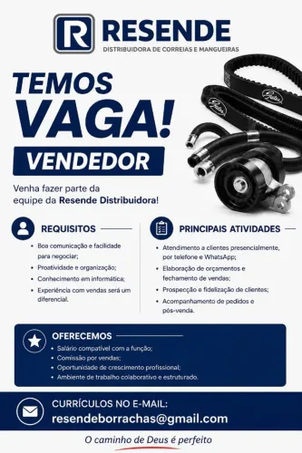 Vendedor Interno - RESENDE DISTRIBUIDORA DE CORREIAS E MANGUEIRAS